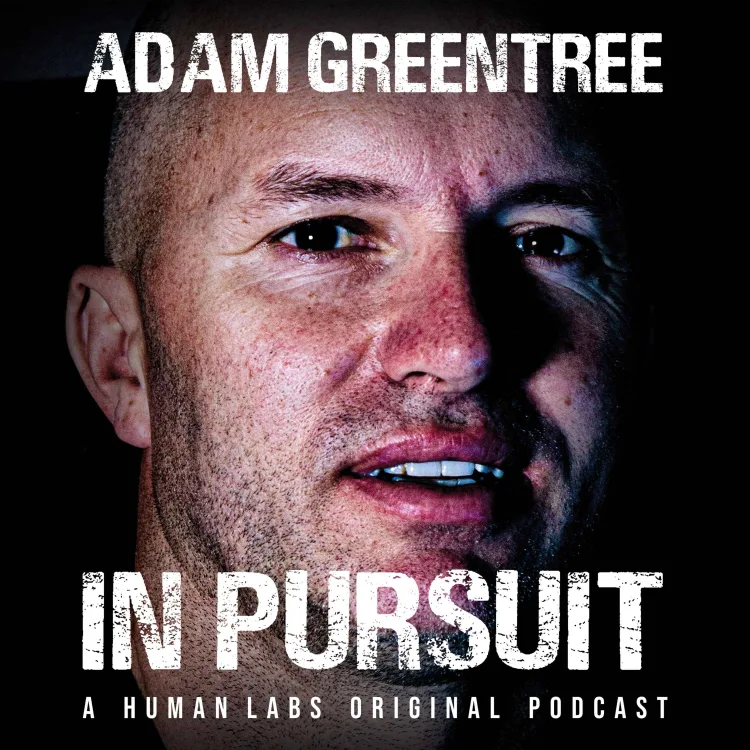Adan Greentree - In Pursuit Cover